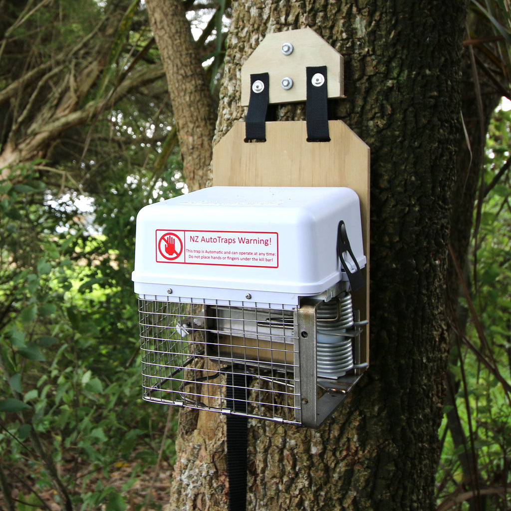 How To Use A Trapinator Possum Trap Predator Free 54 OFF how-to-use-a-trapinator-possum-trap-predator-free-54-off
